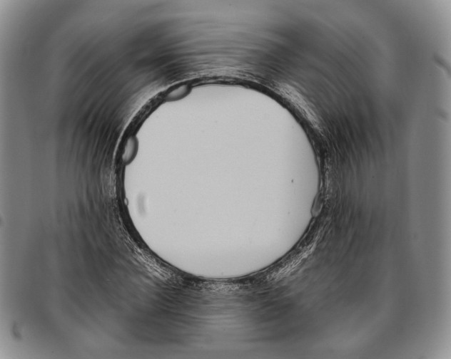 X0000096670924200803041217