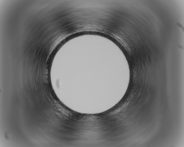 X0000096670926200803041217
