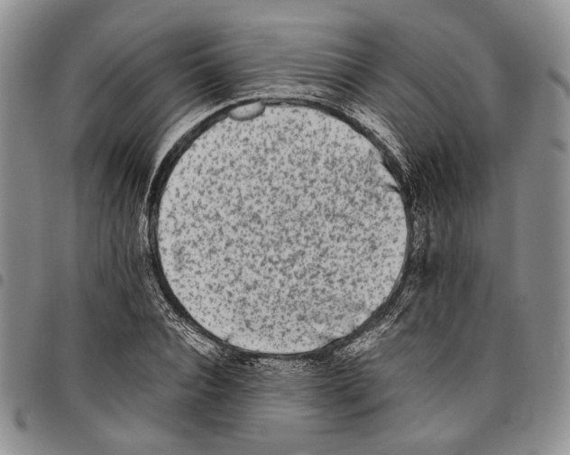 X0000096670928200803041217