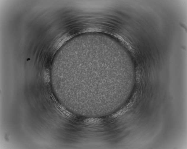 X0000096670929200803041217