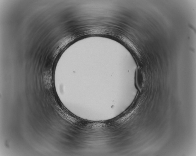 X0000096670930200803041217