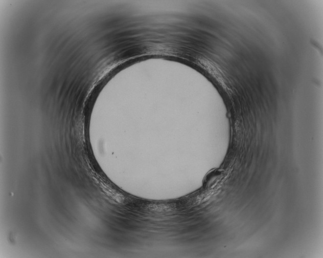 X0000096670931200803041217