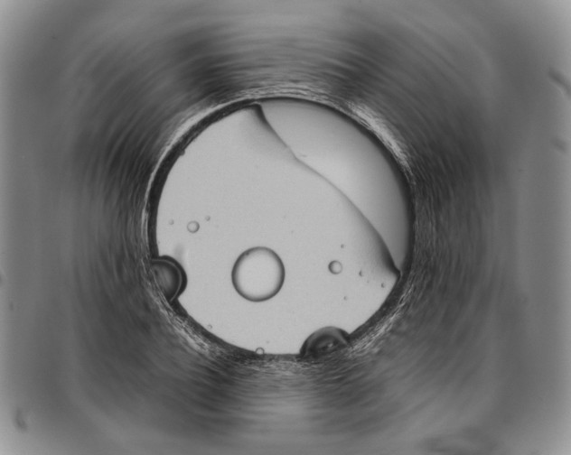 X0000096670932200803041218