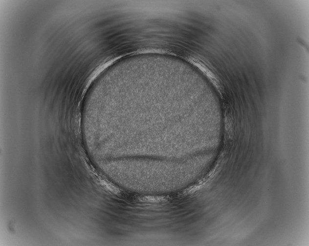 X0000096670933200803041218