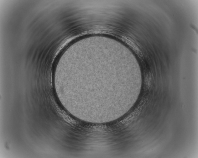 X0000096670934200803041218