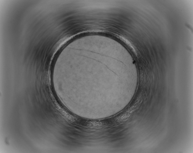 X0000096670935200803041218