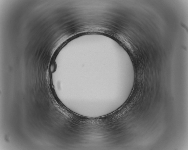 X0000096670936200803041218