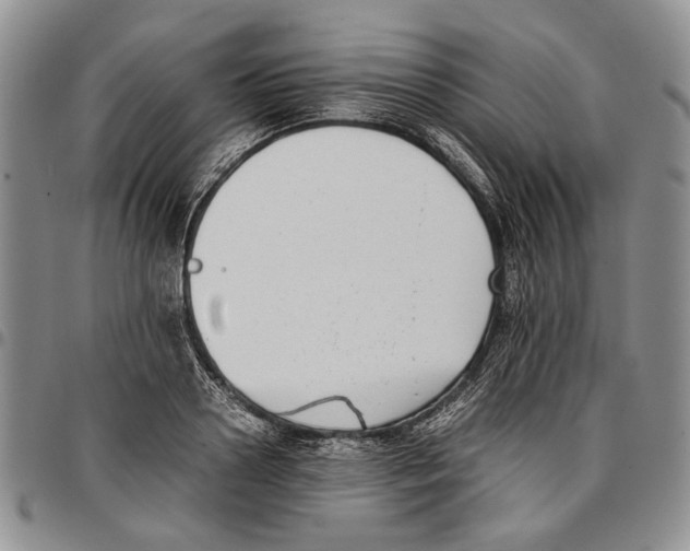 X0000096670938200803041218
