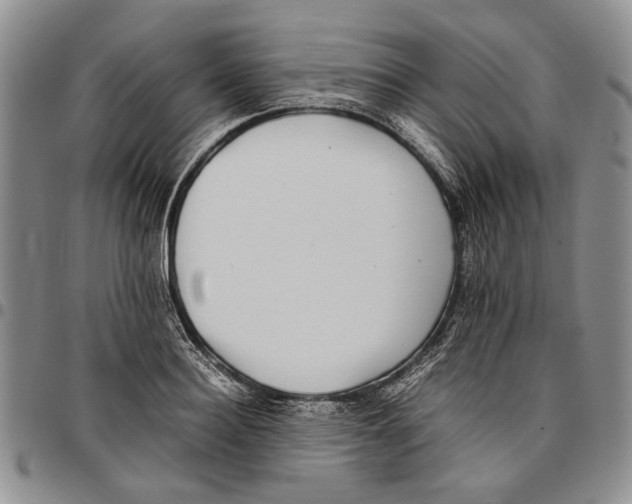 X0000096670940200803041218