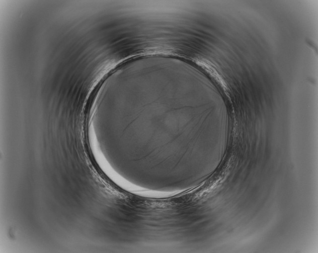 X0000096670941200803041218