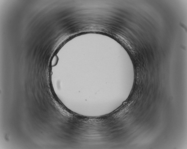 X0000096670942200803041218