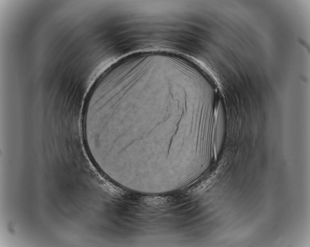 X0000096670943200803041218