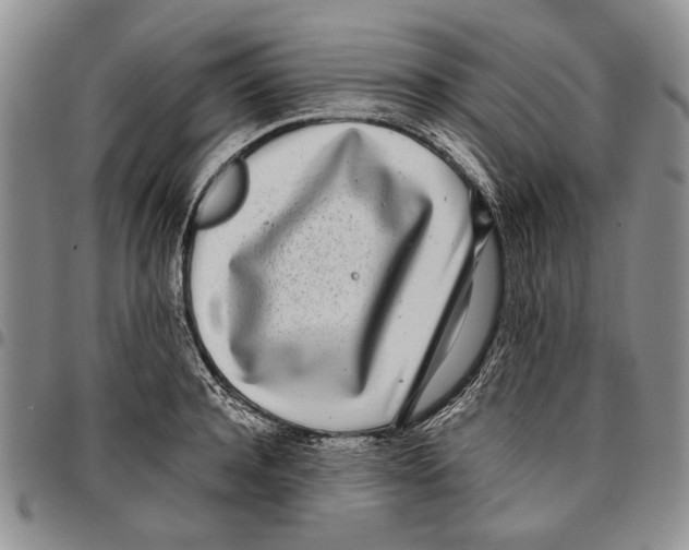X0000096670944200803041218
