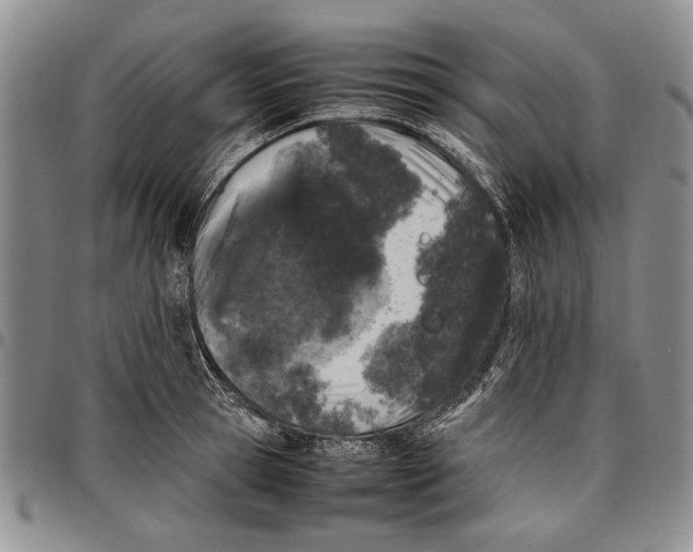 X0000096670945200803041218