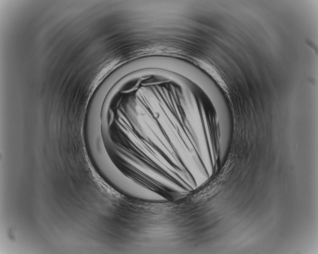 X0000096670946200803041218