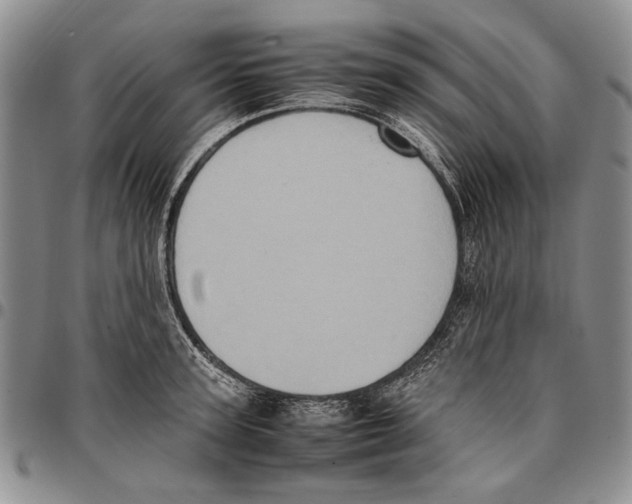 X0000096670947200803041218