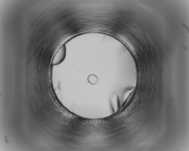 X0000096670948200803041218