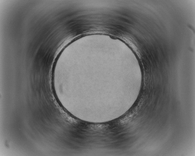 X0000096670949200803041218