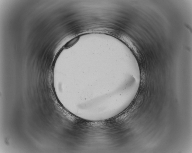 X0000096670952200803041218
