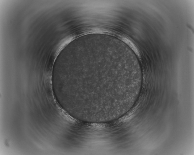 X0000096670954200803041218
