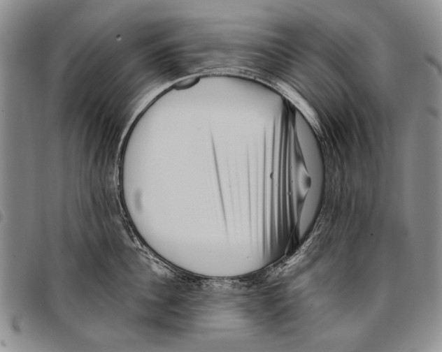 X0000096670956200803041218