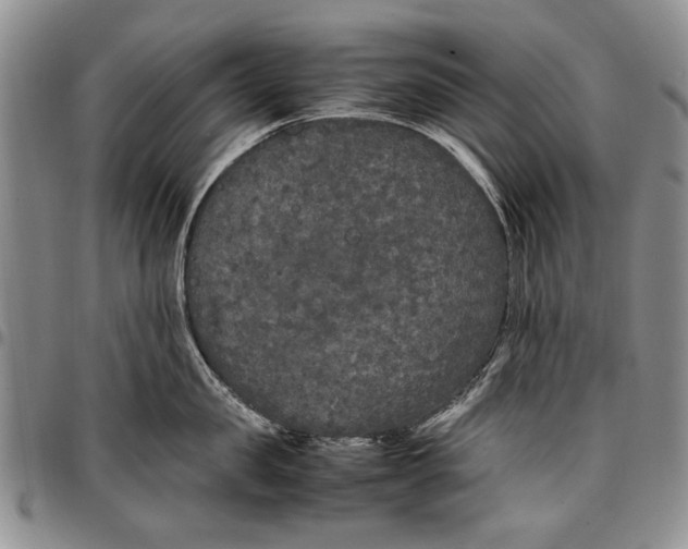 X0000096670957200803041218