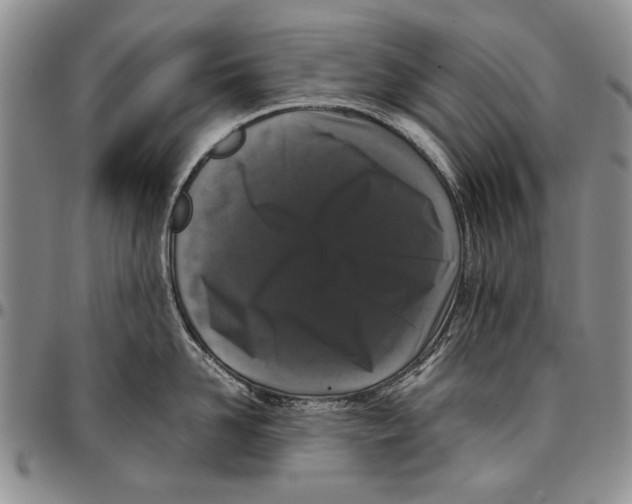 X0000096670958200803041218