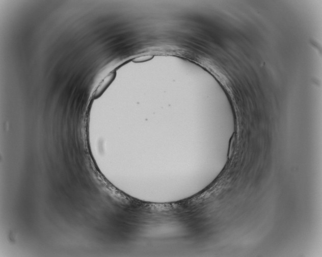 X0000096670960200803041218
