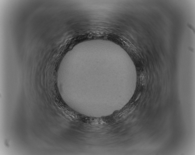 X0000096670961200803041217