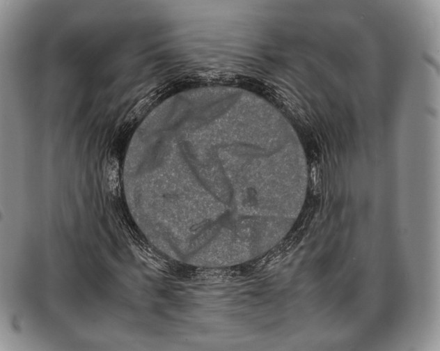 X0000096670963200803041217