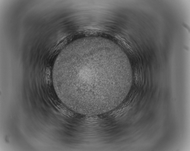 X0000096670964200803041217