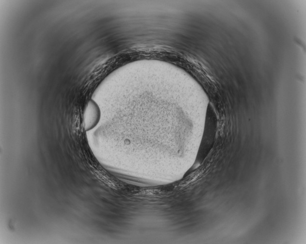 X0000096670966200803041217