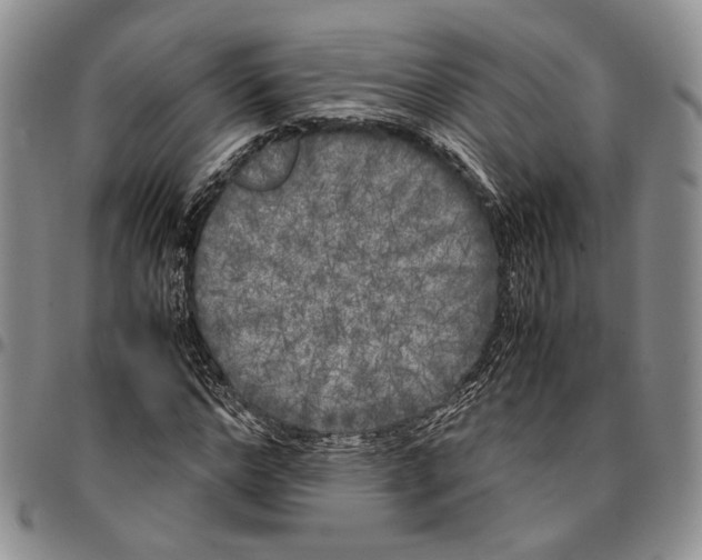 X0000096670968200803041217