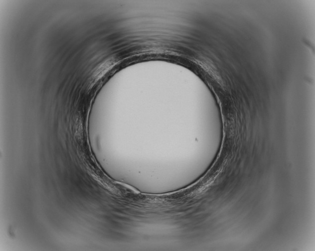 X0000096670969200803041217