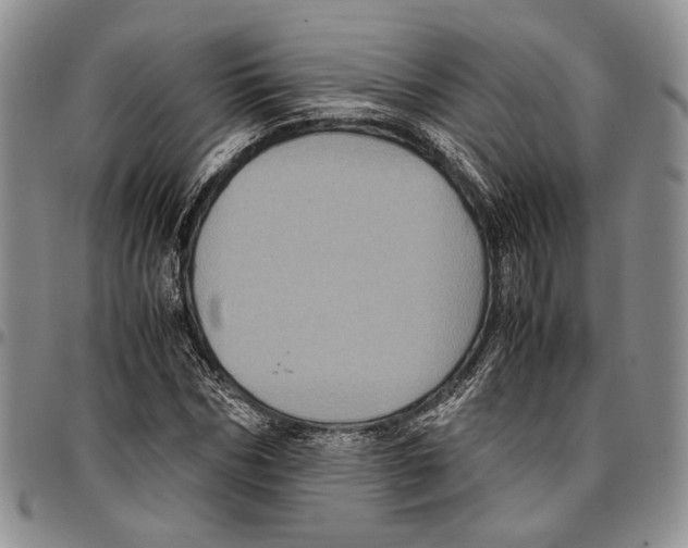X0000096670970200803041217