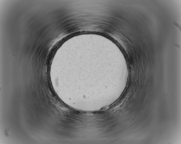 X0000096670971200803041217