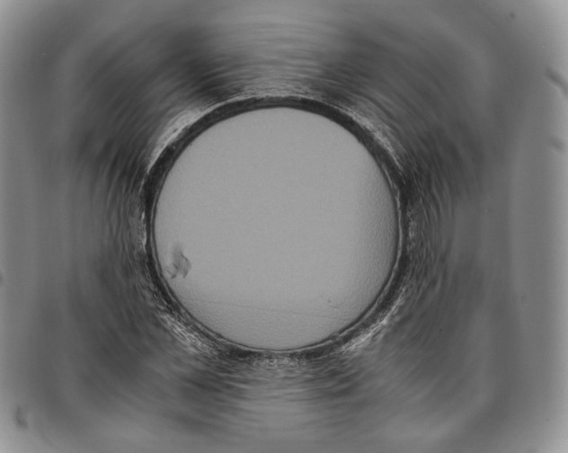 X0000096670973200803041217