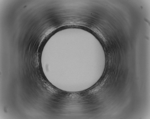 X0000096670974200803041217
