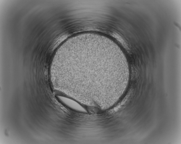 X0000096670977200803041217