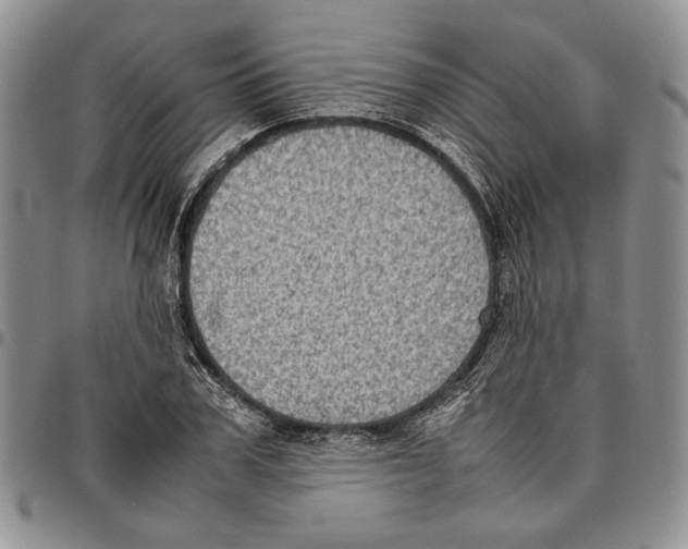 X0000096670979200803041217