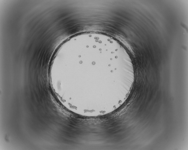 X0000096670980200803041217