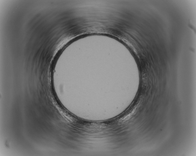 X0000096670981200803041217