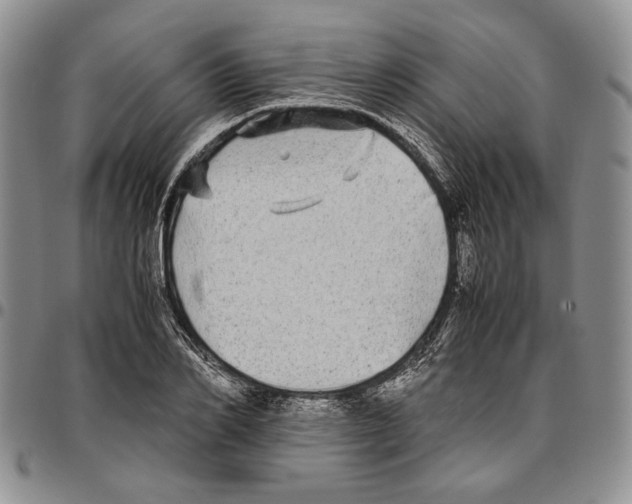 X0000096670982200803041217