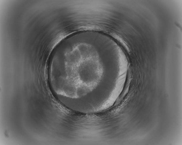 X0000096670983200803041217