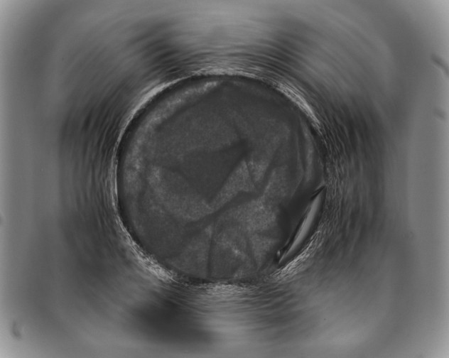 X0000096670984200803041217