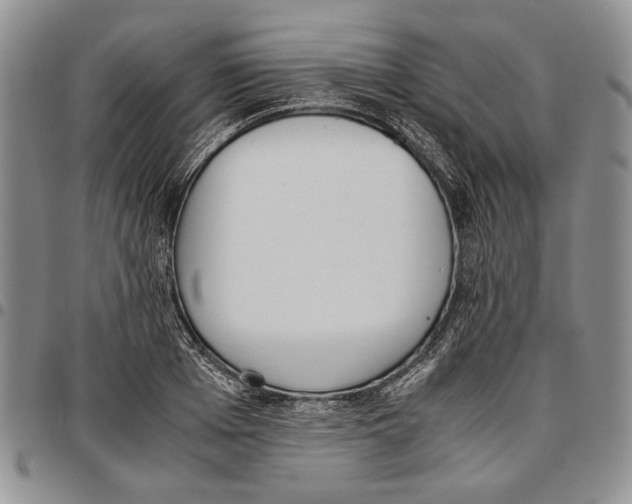 X0000096670985200803041217