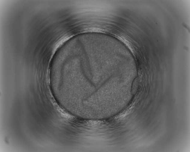X0000096670987200803041217