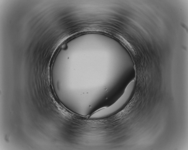 X0000096670988200803041217