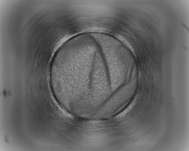 X0000096670989200803041217