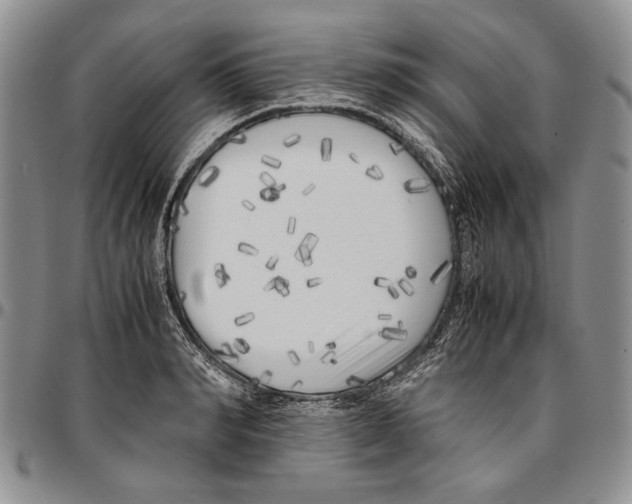 X0000096670990200803041217